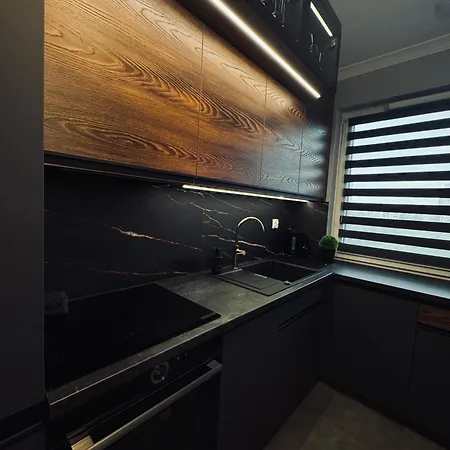 Topapart Posnania Samodzielnie Zameldowanie 24h Apartment